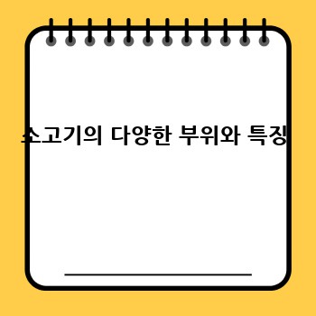 소고기의 다양한 부위와 특징