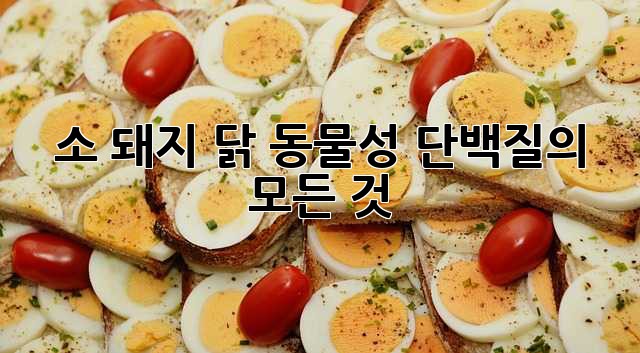 소, 돼지, 닭: 동물성 단백질의 모든 것