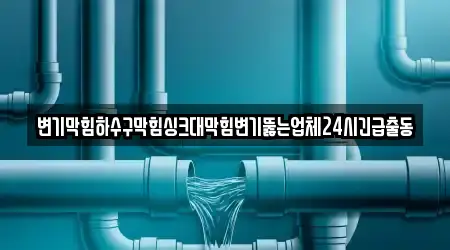 변기막힘하수구막힘싱크대막힘변기뚫는업체24시긴급출동