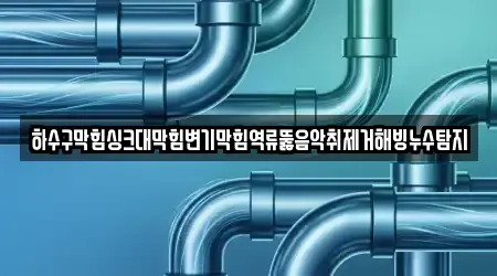 변기뚫음,하수구막힘,누수,하수구뚫음,싱크대막힘 11건 문래동2가 업체 정보
