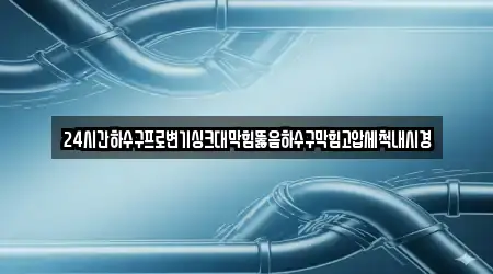 24시간하수구프로변기싱크대막힘뚫음하수구막힘고압세척내시경