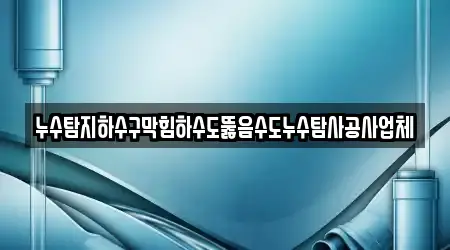 누수탐지하수구막힘하수도뚫음수도누수탐사공사업체