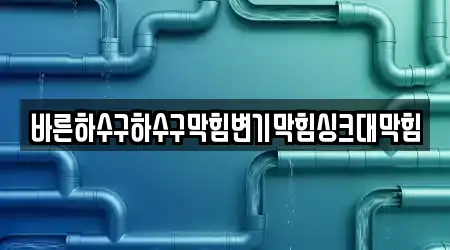 바른하수구하수구막힘변기막힘싱크대막힘
