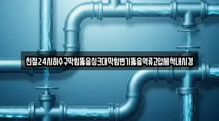친절24시하수구막힘뚫음싱크대막힘변기뚫음역류고압세척내시경