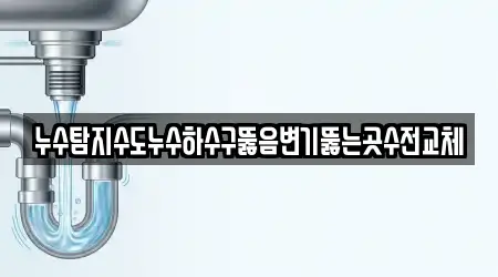 누수탐지수도누수하수구뚫음변기뚫는곳수전교체