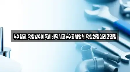 누수탐지,옥상방수에폭시바닥시공누수공사업체욕실화장실리모델링