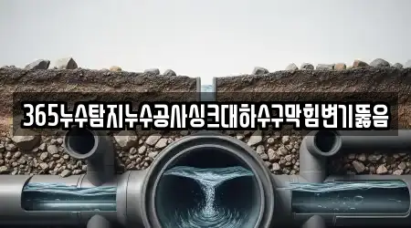 365누수탐지누수공사싱크대하수구막힘변기뚫음
