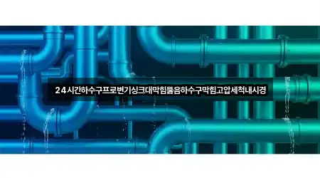 24시간하수구프로변기싱크대막힘뚫음하수구막힘고압세척내시경